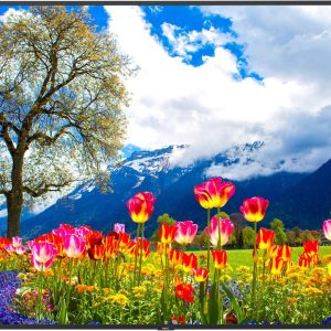 98" display monitor rental 98 inch tv screen rent orlando