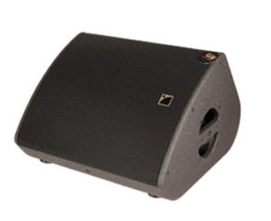X 12 Stage Monitor / Multipurpose